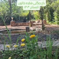 ویلا باغ جنگلی شازده در بیضا|اجارهٔ کوتاه‌مدت ویلا و باغ|شیراز, قلات|دیوار