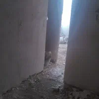 آپارتمان سفتکاری دوخواب اسکلت شرایطی،چکی،میفروشم|فروش آپارتمان|مشهد, علی آباد|دیوار