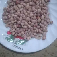 لوبیا قرمز و چیتی  سرحد عدس ریز