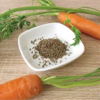 فروش بذر انواع سبزی ،ترب|گل و گیاه طبیعی|رشت, حومه رشت|دیوار