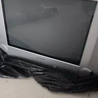 تلوزیون