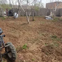 شخم زنی باغ با تیلر