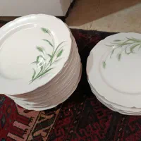 سرویس پلوخوری 12نفره گل گندم نوستالژی