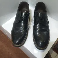 کفش|کیف، کفش، کمربند|نکا, |دیوار