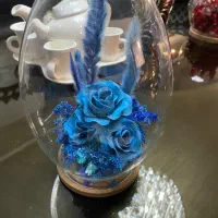 گل رز جاودان مناسب هدیه روز زن ومادر وشب یلدا|گل مصنوعی|تهران, سازمان آب|دیوار