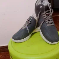 کفش وکتونی|کیف، کفش، کمربند|سورک, |دیوار