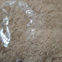 فروش انواع برنج محلی مینودشت|خوردنی و آشامیدنی|مینودشت, |دیوار