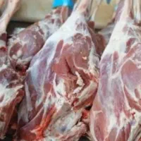 مرغ و ران تازه  تعاونی