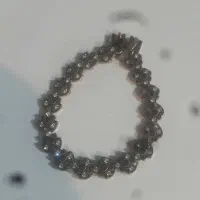 روز  شیک