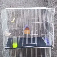 قفس پرنده|لوازم جانبی حیوانات|تربت جام, شهید مدرس|دیوار