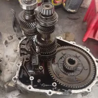 شاگرد فعال مگانیگ