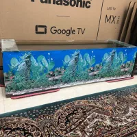 آکواریوم همراه سنگ و صدف