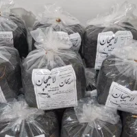 چای قلم بهاره لاهیجان-درجه یک تضمینی|خوردنی و آشامیدنی|رشت, باهنر|دیوار