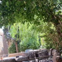 دورهمی وگردش شخصی