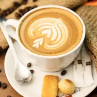 باریستا بارتندر