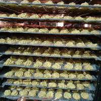 دستگاه میوه خشک کن|سایر لوازم برقی|آستارا, |دیوار