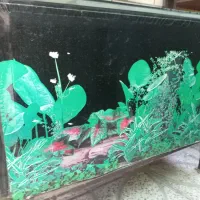 آکواریم ماهی