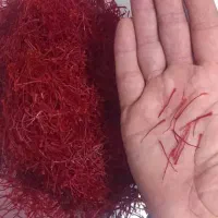 زعفران برداشت امسال|خوردنی و آشامیدنی|لامرد, |دیوار