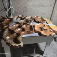 استخدام نیروی کار