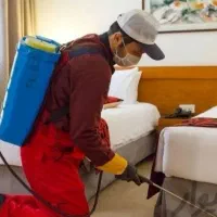 شرکت سمپاشی آریا سم پاشی سوسک ساس کنه(سراسر مشهد)