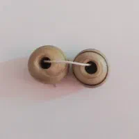 مهره کهنه|جواهرات|اصفهان, باغ گلها|دیوار