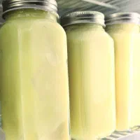 لبنیات وترشی سرای گلچین|خوردنی و آشامیدنی|فیروزآباد (فارس), |دیوار