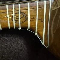 تار هاشمیان|سازهای سنتی|تهران, هروی|دیوار