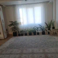فروش-ساختمان-3واحدی-مستقل-و3-مغازه-بزرگ-مجوزدار