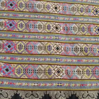 زیاستین مجلسی