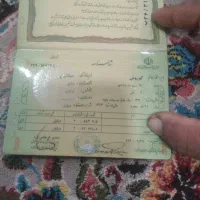 شناسنامه|اشیا|دزفول, |دیوار