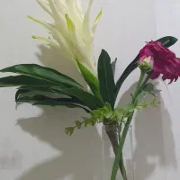 گل مصنوعی|گل مصنوعی|گرگان, |دیوار