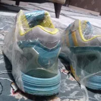 کتانی زد ایکس اصل فیروز ای|کیف، کفش، کمربند|الوند, |دیوار