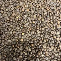 نیازمند به باریستا