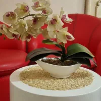 گل مصنوعی ارکیده|گل مصنوعی|تهران, علی‌آباد|دیوار