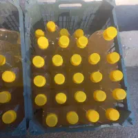 فروش ظروف یکبارمصرف