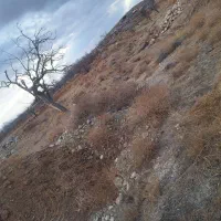 زمین ده|فروش زمین و ملک کلنگی|نیر (یزد), |دیوار