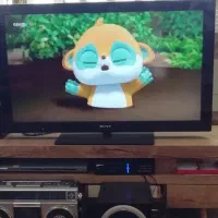 خدمات نصب گیرنده  صدا و تصویر