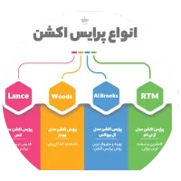 با آموزش اصولی فارکس، معاملاتت را به سود برسان