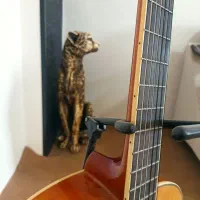 گیتار تمیز چینی خوش دست|گیتار، بیس، امپلیفایر|نوشین شهر, |دیوار