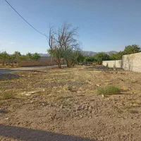 زمین کشاورزی