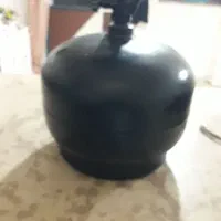 پیک نیک ۲ عدد