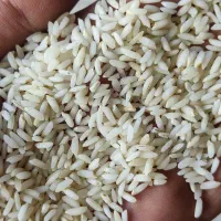 برنج عنبربو خوزستان خیلی عطری