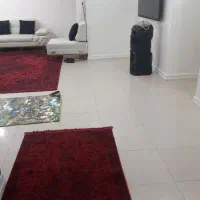 شرکت نظافت شستشویی ساعتی