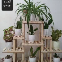 استندگل وگل|گل و گیاه طبیعی|اردبیل, |دیوار
