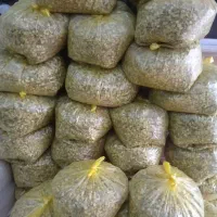 گلپر درجه یک شول آباد