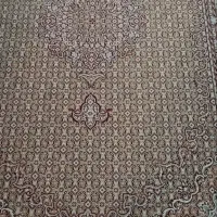 فرش ماشینی|فرش|ارومیه, |دیوار