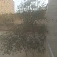 اجاره‌ملک