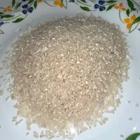 «فروش برنج نیم‌دانه هاشمی اعلا مستقیم از کشاورز»