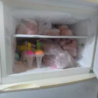 یخچال فریزر|یخچال و فریزر|مشهد, پورسینا|دیوار