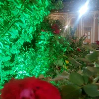 استخدام نیروی خانم در رستوران سنتی تفت